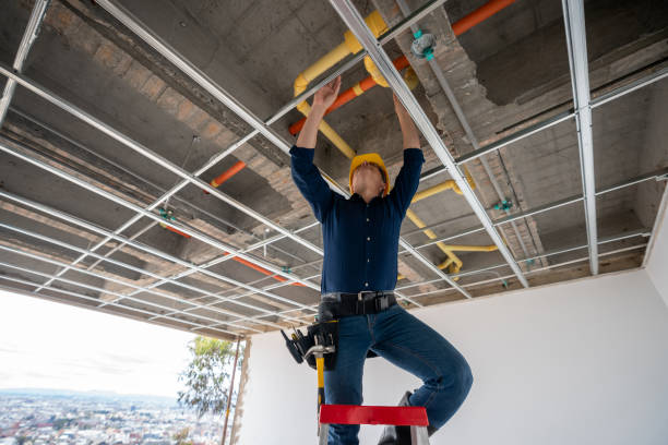 Best Emergency Plumber  in Crainvle, IL