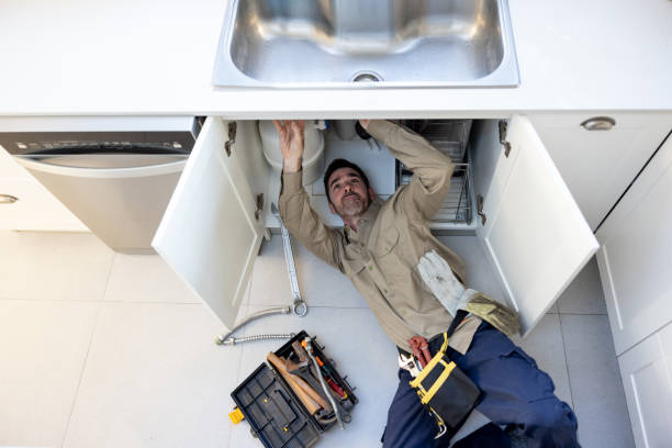 Best Septic Systems  in Crainvle, IL