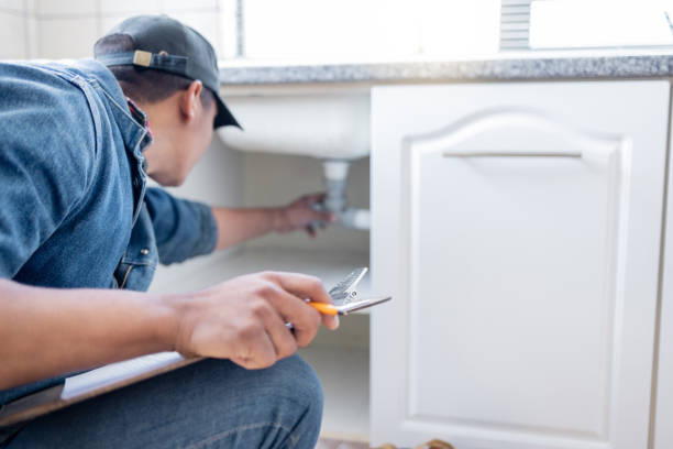 Best Affordable Plumber Near Me  in Crainvle, IL
