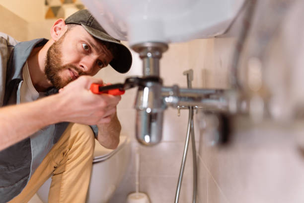 Best Leak Detection Services  in Crainvle, IL