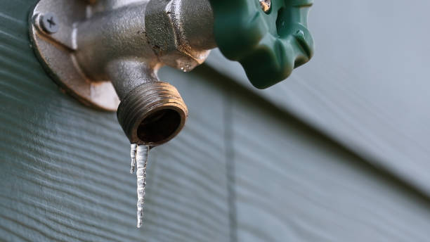 Best Water Leak Repair  in Crainvle, IL